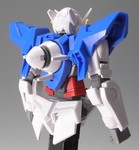 exiar2_hg02.JPG