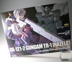 hazel_hcm02.JPG