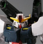 seravee_hcm06.JPG